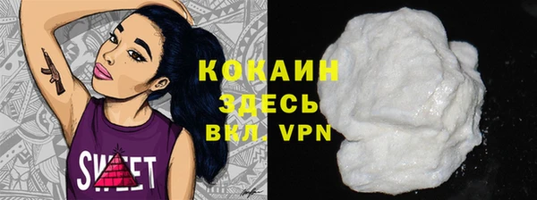 стаф Белокуриха
