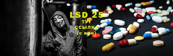 стаф Белокуриха