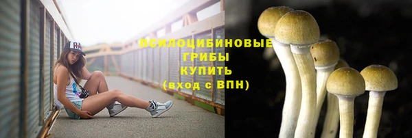 твердый Белоозёрский