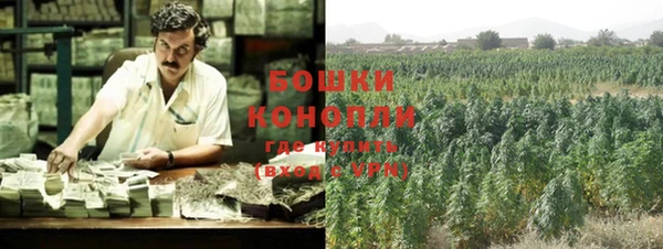 стаф Белокуриха