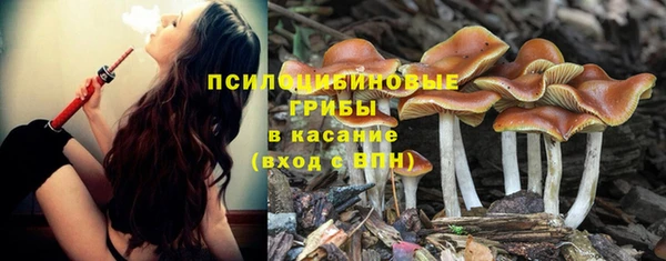 стаф Белокуриха