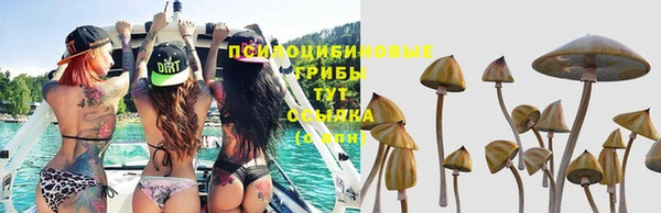 твердый Белоозёрский